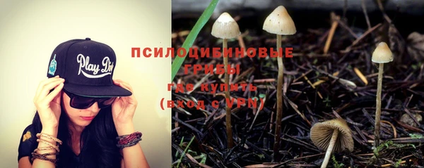 альфа пвп Карталы