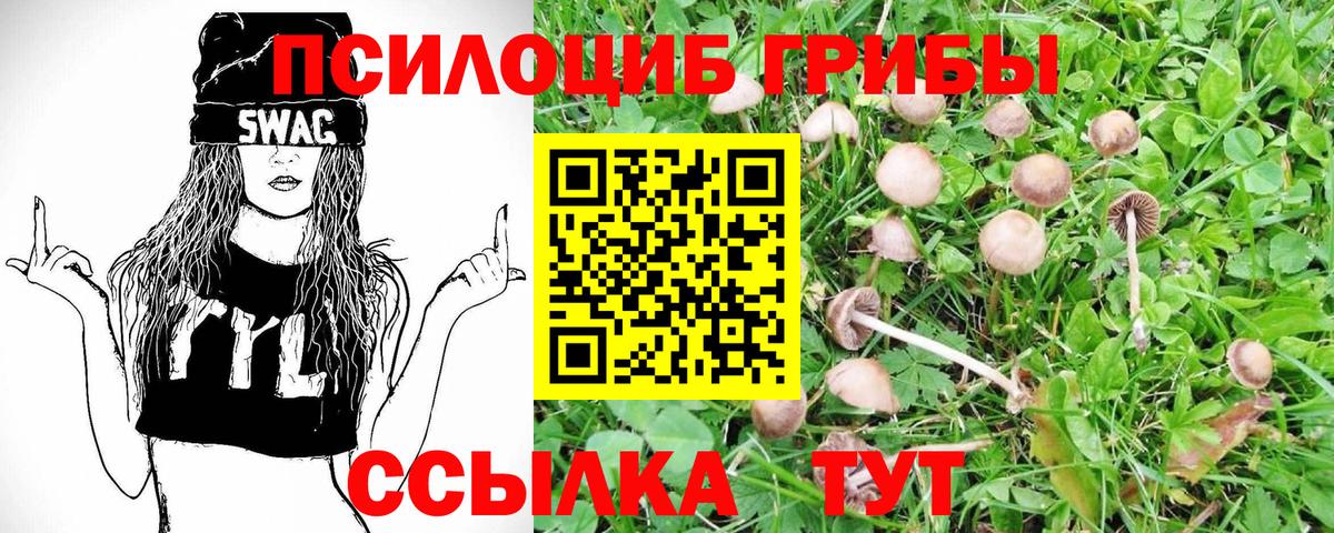 Псилоцибиновые грибы Magic Shrooms  Вход с VPN  дарнет шоп  Конаково 