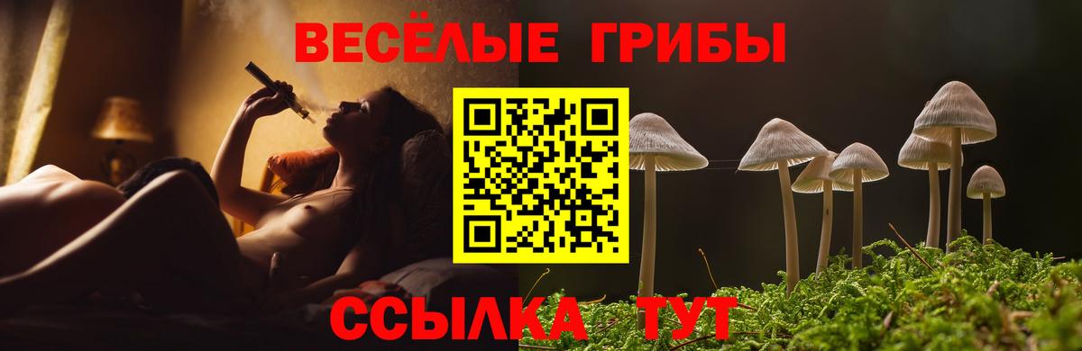 Галлюциногенные грибы GOLDEN TEACHER Конаково